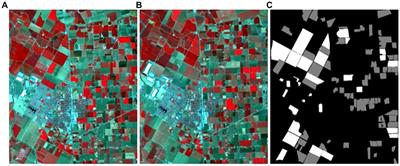 A fast hyperspectral change detection algorithm for agricultural crops based on low-rank matrix and morphological feature extraction